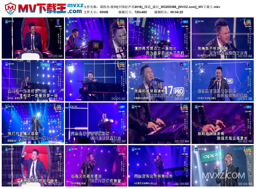 郑伟杰-情网(中国好声音2018)_国语_流行_MD205388